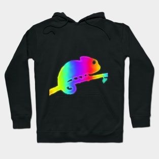 Chameleon Rainbow Hoodie